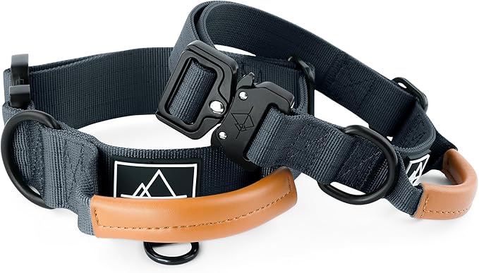 Made to ROAM Premium Explorer Control Collar - Adjustable Heavy Duty Nylon Dog Collar with Quick-Release Metal Buckle and Handle (New York Afterlight, Control Size 5)