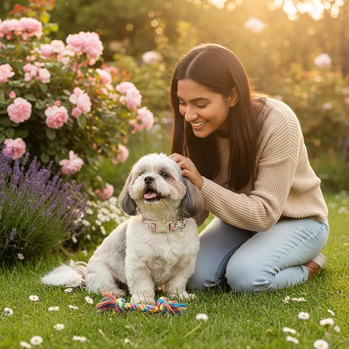 Dog Collar for Small Medium Large Dogs, Spring Blue Dog Collars with Pink & White Flowers, Adjustable Cotton Dog Collars, Cute Girl or Boy Dog Collar Ideal for Gifts,Pet Accessory,S