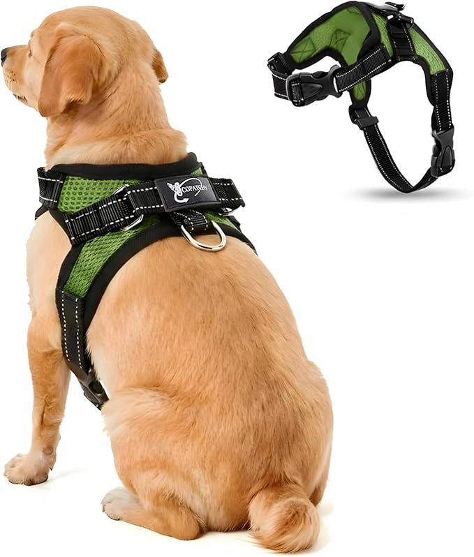 No Pull Reflective Adjustable Dog Harness with Handle- Comfortable Soft All Weather Mesh, Easy On Puppy Harness for Small Medium and Large Dogs (Green) Small