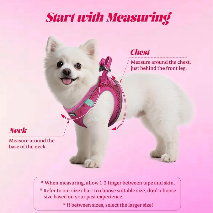YIMEIS Dog Harness and Leash Set, No Pull Soft Mesh Pet Harness, Reflective Adjustable Puppy Vest for Small Medium Large Dogs, Cats (Rose Red, Small (Pack of 1)