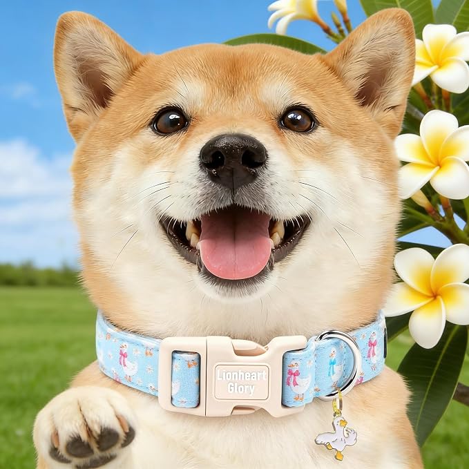 Lionheart glory Dog Collar - Spring Cute Dog Collars Sturdy Adjustable Soft Collar Blue Ducky Pattern for Medium Dogs Male Female Holiday Pet Collars