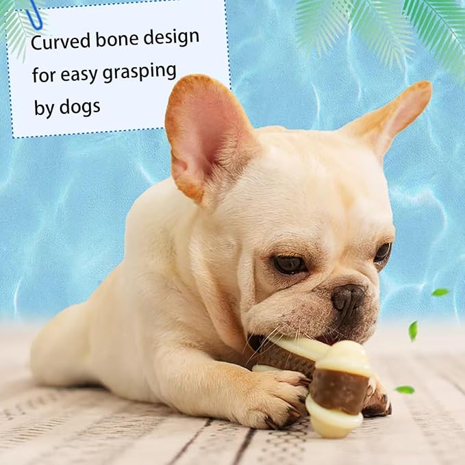 Dog Bone Chew+SqueakyToys for Aggressive Chewers, 2 Pack Real Beef Flavor+1Pack Latex Funny Interactive Toys , Indestructible Teething Toys for Medium/Large/Small Breed, Toy With Durable Nylon