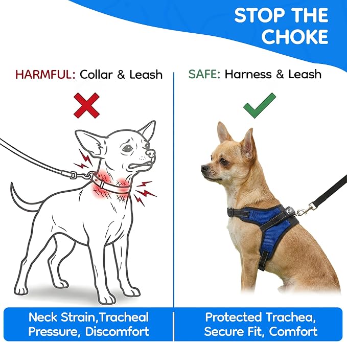 No Pull Reflective Adjustable Dog Harness With Handle- Comfortable Soft All Weather Mesh, Easy On Puppy Harness For Small Medium and Large Dogs (Blue) X-Small