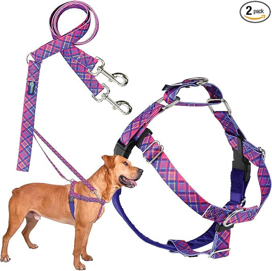 2 Hounds Design - Freedom No-Pull Harness & Training Leash in Pink and Purple | Dual Leash Loops, No Pulling on Walks | Lined to Prevent Chaffing | for Large Sized Dogs (Size M, Chest 24”- 28”)