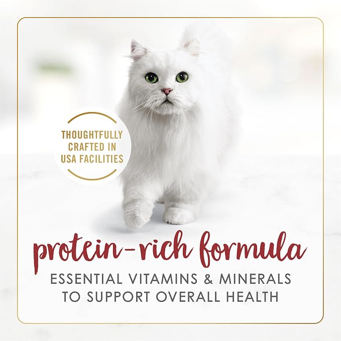 Fancy Feast Purina Gravy Lovers Beef Feast Grilled Gourmet Cat Food in Wet Cat Food Gravy - 3 oz. Cans (Pack of 48)