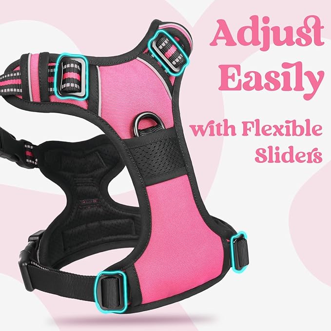 rabbitgoo Dog Harness for Large, No Pull Easy On & Off with 3 Buckles Pet Harness, Adjustable Soft Walking Vest with 2 Clips and Handle, Reflective for Large Dogs, Rose Pink, L