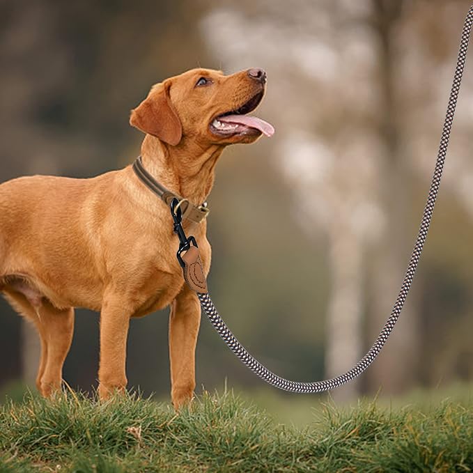 Mile High Life Rope Leash with Genuine Leather Connection, 6 FT/5 FT/4 FT, Heavy Duty Leash for Medium & Large Dogs (Brown, 48 Inch)