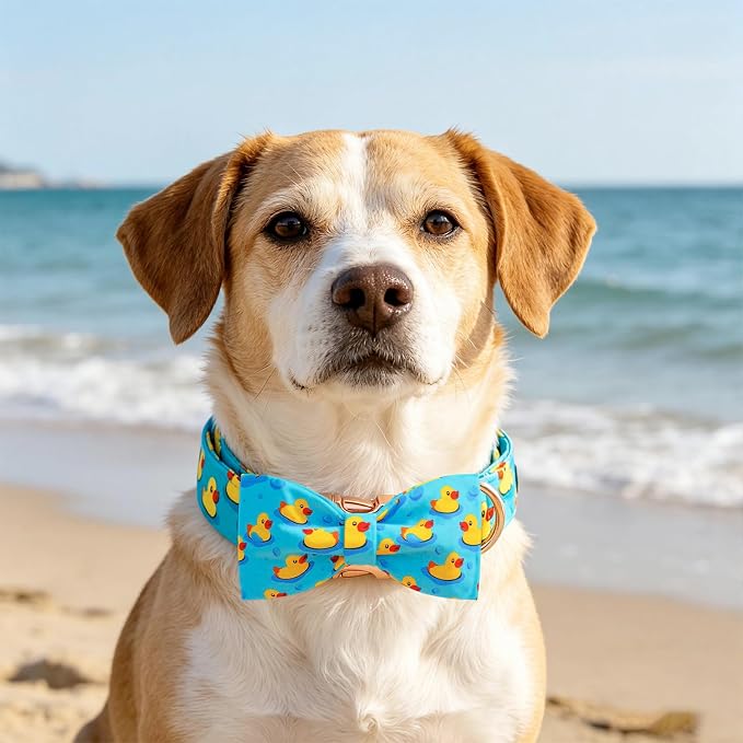 Elegant little tail Boy Dog Collar, Duck Pet Collars with Bow for Medium Dogs, Sturdy Metal Buckle Soft Cotton Bowtie Fabric Summer Adjusatble Dog Collar for Medium Large Dogs