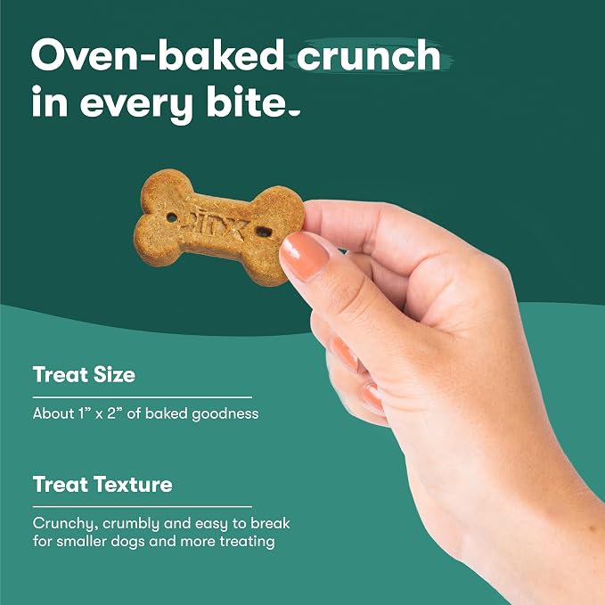 Jinx Oven-Baked Chicken Bone Broth Biscuit Treats, Crunchy, All Natural, Superfood-Rich with Real Chicken, Pumpkin & Blueberries, 16oz (Pack of 2)