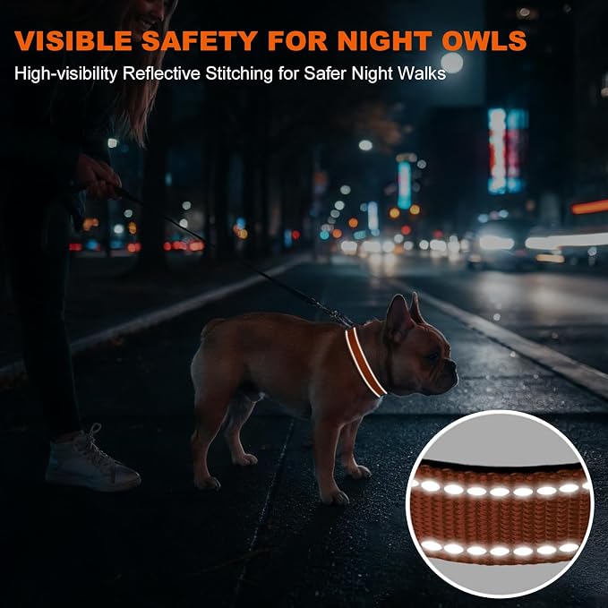 Taglory Reflective Dog Collar for Medium Dogs, Soft Neoprene Padded with Escape-Proof Locking Buckle, Upgraded Zinc Alloy Ring, Adjustable for Walking Female Male, Orange,M