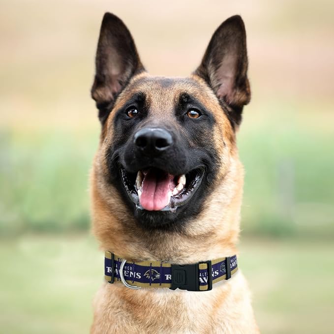 Pets First NFL Baltimore Ravens Licensed PET COLLAR, Extra Large - Heavy-Duty, Strong, and Durable Dog Collar. Available in 31 Football Teams and 4 Sizes
