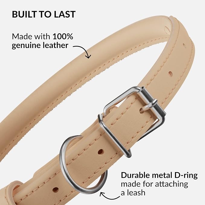 CollarDirect Rolled Leather Dog Collar, Soft Padded Round Puppy Collar, Handmade Genuine Leather Collar Dog Small Large Cat Collars 13 Colors (18-22 Inch, Beige Smooth)
