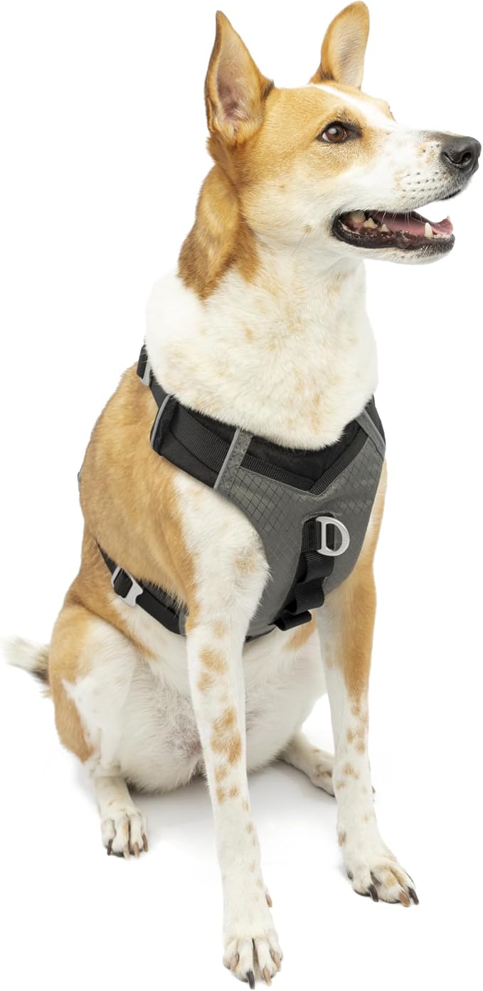 Kurgo Journey Air Dog Harness - Secure Fit for Active Dogs - Padded Chest - Lightweight Ripstop Fabric - Breathable Mesh - Reflective Trim - Back Assist Handle - Black - Large
