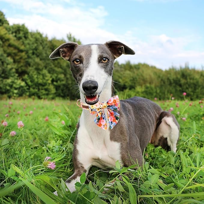 Unique style paws Cartoon Dog Collar with Bowtie Spring Summer Puppy Collar with Flower for Small Medium Large Boys Girls Dogs
