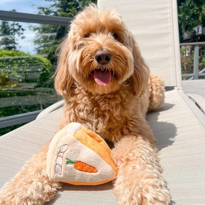 CHEWFFON Easter Dog Puzzle Snuffle Toy, Carrot Cake Treat-Hiding Enrichment Toy for Boredom Relief and Mental Stimulation, Squeaky Cake Gift, Interactive Play for Small and Medium Dogs