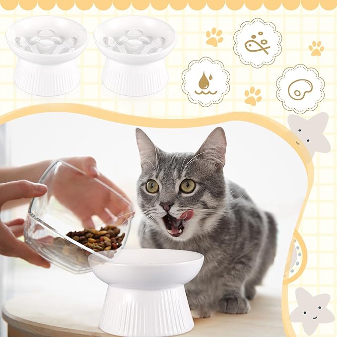 Layhit 2 Pack Raised Slow Feeder Cat Bowls Ceramic Elevated Cat Food Bowls Anti Vomiting Slow Feeder for Dog and Kitten for Dry and Wet Food(White)