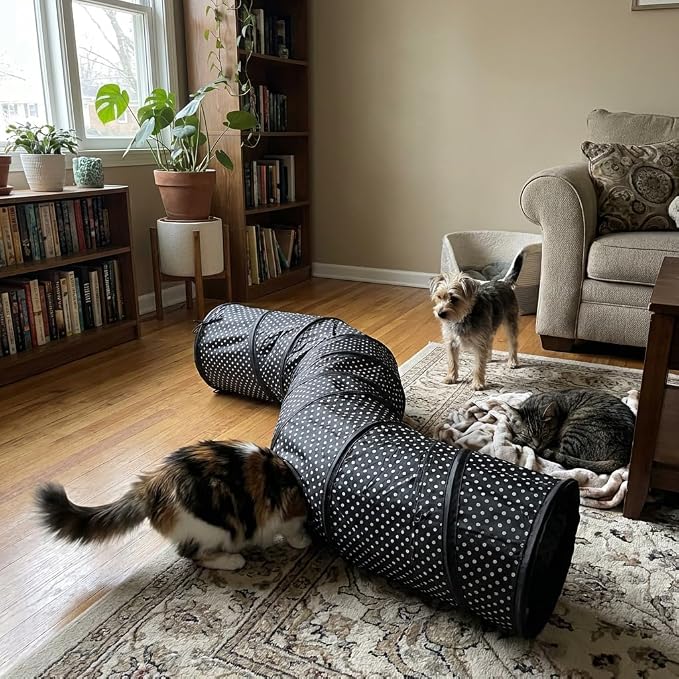 Cat Tunnel Collapsible, More Interactive Indoor Play Toy Tube for Cats & Kittens with Crinkle Paper and Peekaboo Holes(S)