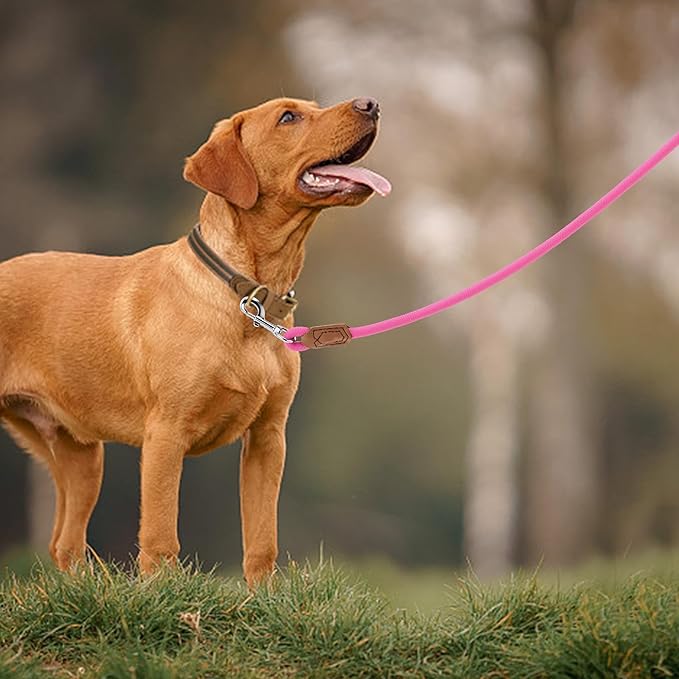 Mile High Life Leather Dog Leash, Heavy Duty Strong Genuine Leather Handle Rope Leash Soft and Comfortable for Small Medium Large Dogs (Hot Pink, 72 Inch)