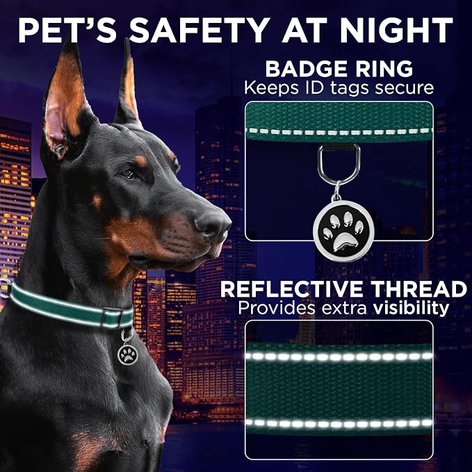 TECEUM Reflective Dog Collar – Dark Emerald Green – S – Extra Soft Padding – Basic Nylon Pet Collar – Quick Release Buckle – Fits Small, Medium and Large Dogs, Puppies, Cats