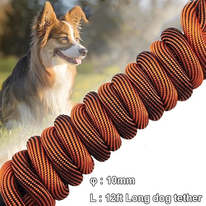 BTINESFUL Dog Tie Out, Check Cord Long Tether Rope Leash, 8ft 12ft 20ft 30ft 50ft 75ft Yard Training Dog Lead - Large Medium Small Dogs Outdoor Playing, Camping, or Backyard (12ft, Orange Black)