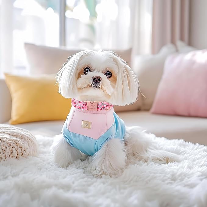 Strawberry Bow Dog Collar, Spring/Summer Pink Girl Dog Collars, Adjustable Heavy Duty Girly Female Dogs Collars for Small Medium Large Dogs with Metal Buckle L