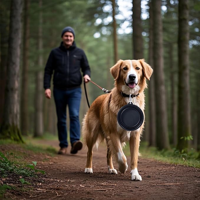 Dog Bowl Pet Collapsible Bowls, 2 Pack Collapsible Dog Water Bowls for Cats Dogs, Portable Pet Feeding Watering Dish for Walking Parking Traveling with 2 Carabiners (Black+Pink, Medium)