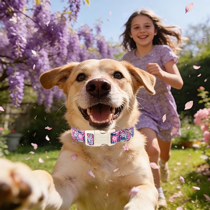 DOGWONG Spring Floral Girly Dog Collar-Cute Floral Daisy Dog Collar, Adjustable Soft Girl Female Dog Collar for Small Medium Dogs, S