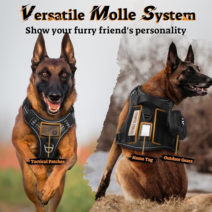 rabbitgoo Tactical Dog Harness for Small Dogs No Pull Adjustable Military Vest with Handle MOLLE Reflective Heavy Duty Dog Vest for Walking Training Hunting Outdoor Working Medium Size Dog Black S