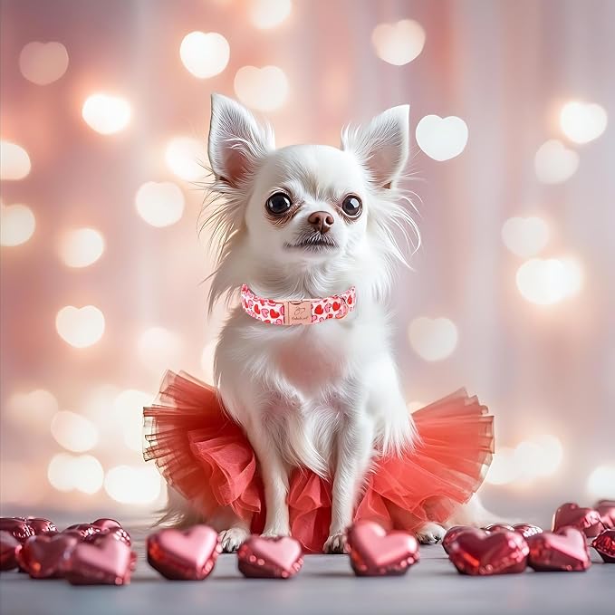 Valentines Dog Collar, Pink Heart Print Girl Dog Collars, Cute Valentine Puppy Collars, Adjustable Heavy Duty Pet Collar for Small Medium Large Dogs with Metal Buckle S