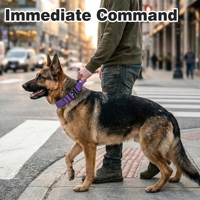 Joytale Tactical Dog Collar for Medium Dogs with Control Handle, Heavy Duty Military Training Collar for Power Breeds, AirTag Holder Case, Quick Release Metal Buckle, Soft Padded, M, Purple