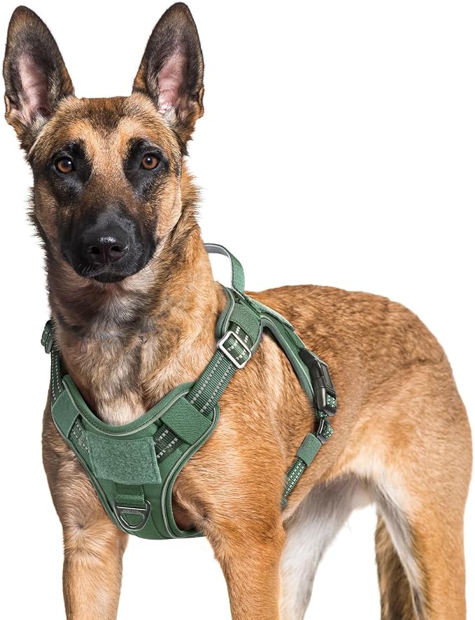 rabbitgoo Tactical Dog Harness for Large Dogs No Pull Adjustable Military Vest with Handle MOLLE Reflective Heavy Duty Dog Vest for Walking Training Hunting Outdoor Working Medium Size Dog Green XL