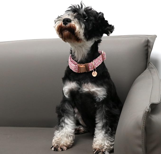 Daisy Summer Cotton Dog Collar with Metal Buckle Gift Pink Collar for Small Medium Large Girls or Boys Dogs Cute Durable Comfortable Pet Collars