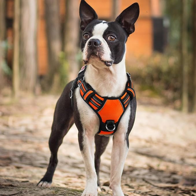 rabbitgoo Dog Harness Small Sized, 3 Buckles Easy On & Off No Pull Pet Vest, Soft Padded Walking Pet Harness with Control Handle, Adjustable and Reflective, Orange, S