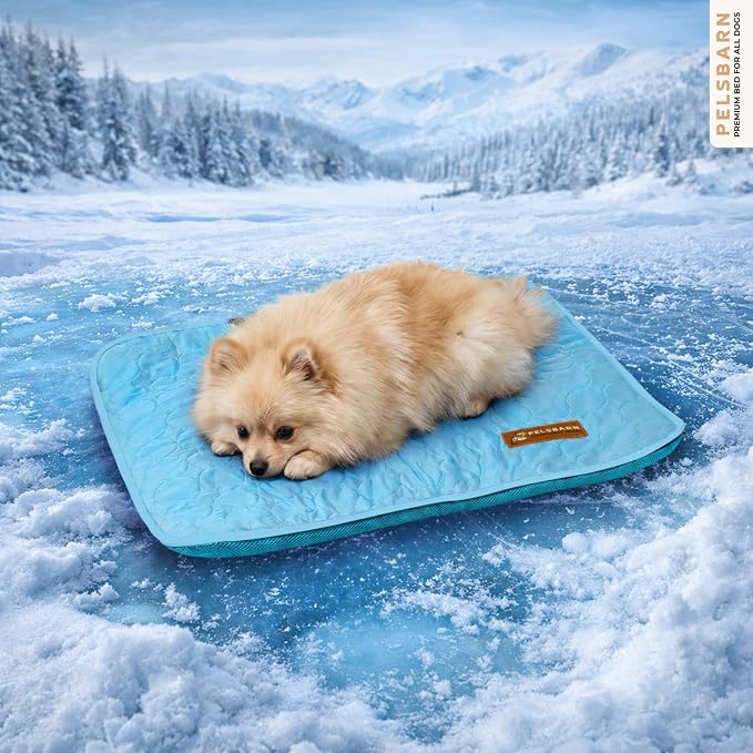 Pelsbarn Dog Cooling Mat- Ice Silk Summer Comfort, Self Cooling, Non-Slip Dog Pad, Durable & Washable, Mat for Extra Small Dogs 15 x 19, Support Shelter Dogs with Every Purchase (Blue)