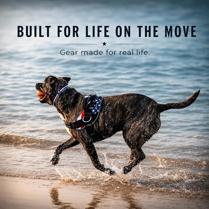 ShawnCo Essential Dog Harness, No-Pull Pet Vest with 3 Leash Clips, No Choke, Reflective, Adjustable and Padded, for Easy Walking and Training for Small, Medium and Large Dogs (Sunset Orange, XS)