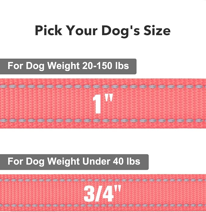 Taglory Dog Leash for Medium Large Dogs, Double-Sided Reflective for Night Walking, Neoprene Padded Handle, 1 inch by 5 ft, Heavy Duty for Medium Large Breeds 20-150 lbs, Pink