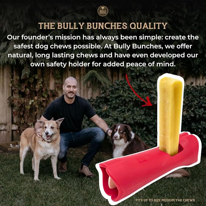 Bully Bunches Premium Fruit-Flavored Himalayan Yak Chew for Dogs - 100g, All-Natural, Long-Lasting, Authentic Yak Milk, Healthy Dental Chew, High-Protein (Medium Assorted - 4PK, Assorted)