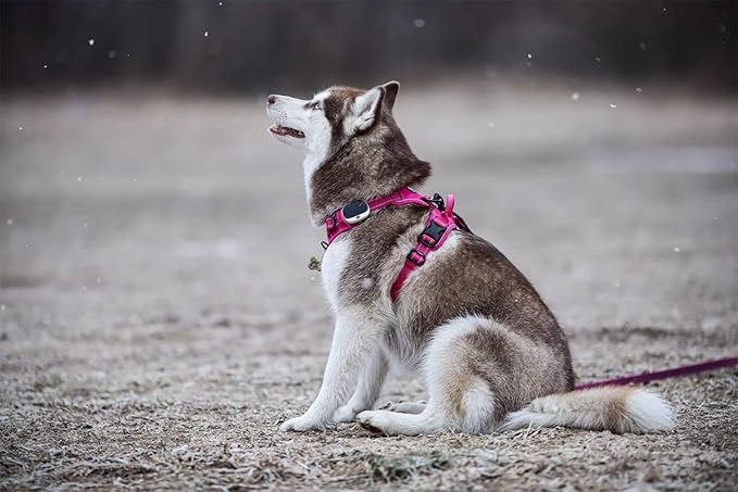 TRUE LOVE Adjustable No-Pull Dog Harness Reflective Pup Vest Harnesses Comfortable Control Brilliant Colors TLH5651(Fushcia,XS)