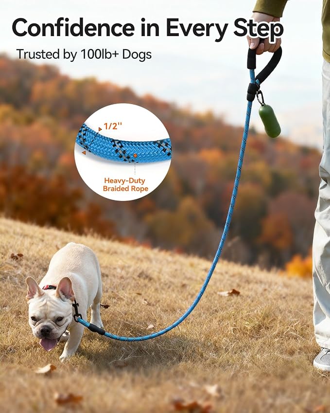 Joytale Dog Leash for Small Dogs, Heavy Duty Nylon Leashes with Comfortable Padded Handle and Highly Reflective Threads, Ideal for Walking and Training, SkyBlue, 5'×3/8‘’