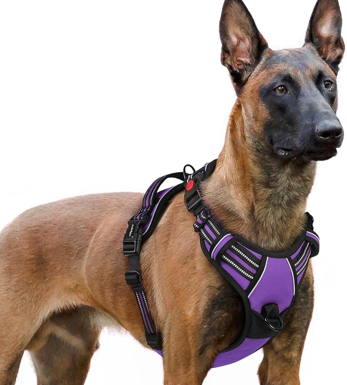 rabbitgoo Dog Harness for Large, No Pull Easy On & Off with 3 Buckles Pet Harness, Adjustable Soft Walking Vest with 2 Clips and Handle, Reflective for Extra Large Dogs, Purple, XL