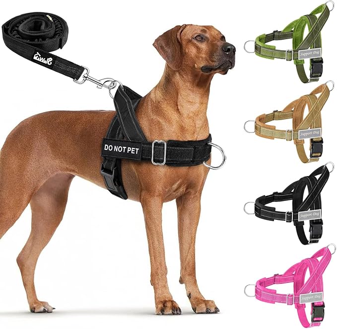 Lukovee No Pull Dog Harness and Leash Set - Adjustable Soft Padded Vest with Front Clip for Easy Control, Reflective Durable Harness for Safe Daily Training Walking for Medium Large Dogs (XL, Black)
