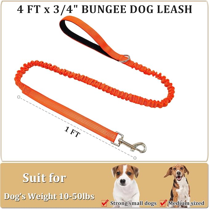 WYuZe 4 FT Bungee Dog Leash for Strong Small Dogs - Reflective, Shock Absorbing, Elastic Nylon Leash with Padded Handle for Safety Comfort No Pull Walking Training (Orange, 3/4"-Wide)