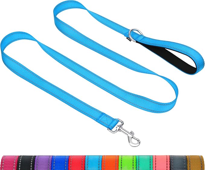 Taglory Dog Leash for Medium Large Dogs, Double-Sided Reflective for Night Walking, Neoprene Padded Handle, 1 inch by 4 ft, Heavy Duty for Medium Large Breeds 20-150 lbs, Sky Blue