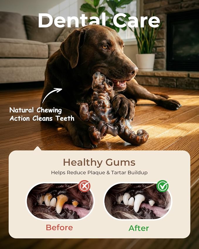 DinoBone Dog Chew Toys for Aggressive Chewers, 2 Pack Tough Nylon Dinosaur Bones for Large Dogs 20–90 lbs, Long Lasting Chewing Outlet, Helps Redirect Destructive Chewing, Bacon Flavor