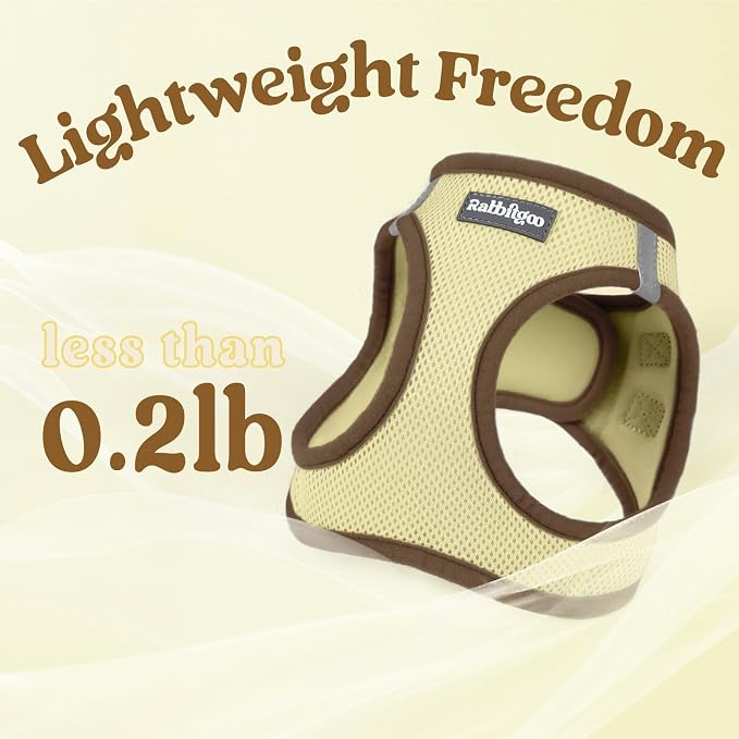 rabbitgoo Dog Harness Small Sized and Leash Set, Step-in Breathable Pet Harness, Soft Walking Reflective Puppy Vest for Small Dogs, Beige & Coffee, L