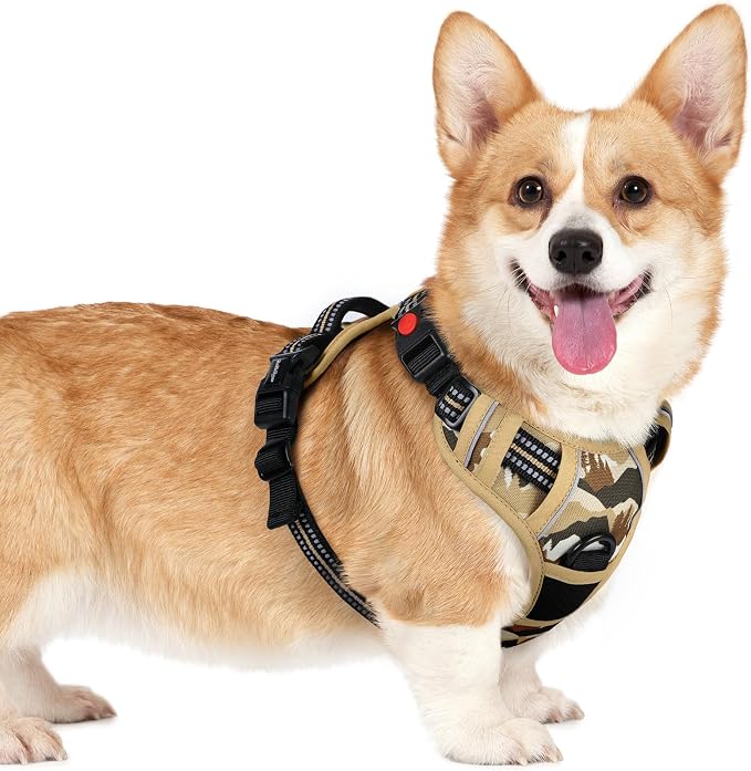 rabbitgoo Dog Harness Small Sized, No Pull Easy On & Off with 3 Buckles Pet Harness, Adjustable Soft Walking Vest with 2 Clips and Handle, Reflective for Small Dogs, Desert Ridge, S