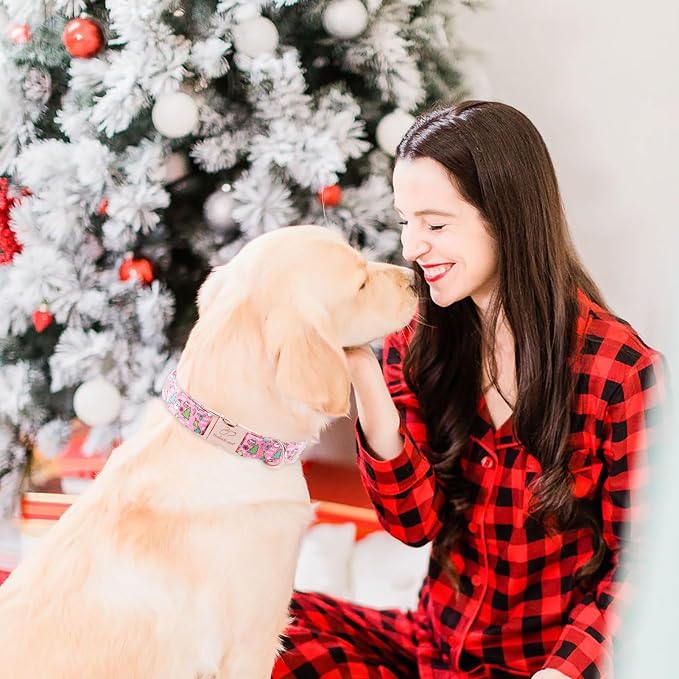Christmas Dog Collar for Medium Dogs - Design Cute Winter Holiday Collars Adjustable Santa Claus Pet Metal Buckle Collar for Puppy Girl Boy Female Dogs M