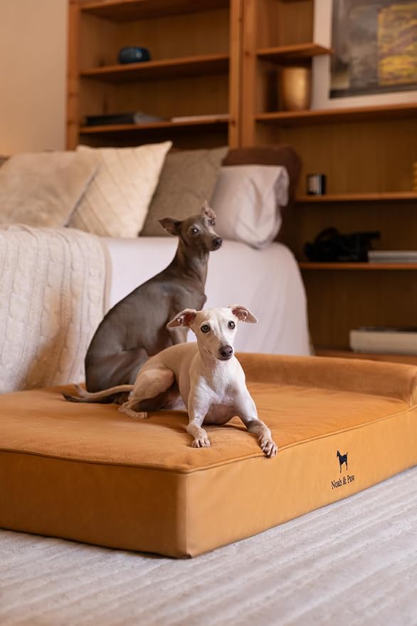 NOAH & PAW Large Dog Bed, 35x25x8.7 Inch, Orthopedic Dog Beds, Eggshell Memory Foam Infused with Cooling Gel, Water Resistant, Machine Washable, Includes Inner Cover (Faux Leather)