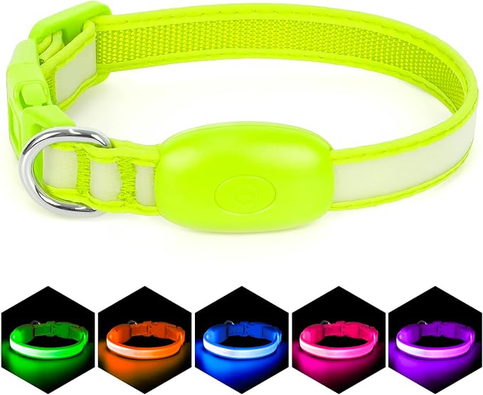 Light up Collar for Small Dog,Vizpet XS Adjustable Size Nylon Collar USB Rechargeable Bright Safety Pet Collar for Cats Small Dogs (Green, X-Small[ 8.66-11.9 inch/22cm-30cm])