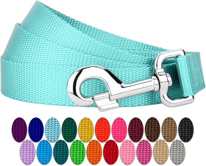 Country Brook Petz - Everyday Nylon Dog Leash - Strong, Durable, Solid Color Leash with Easy to Use Snap - 25+ Colors (1 Inch Wide, 4 Foot, Light Cyan)